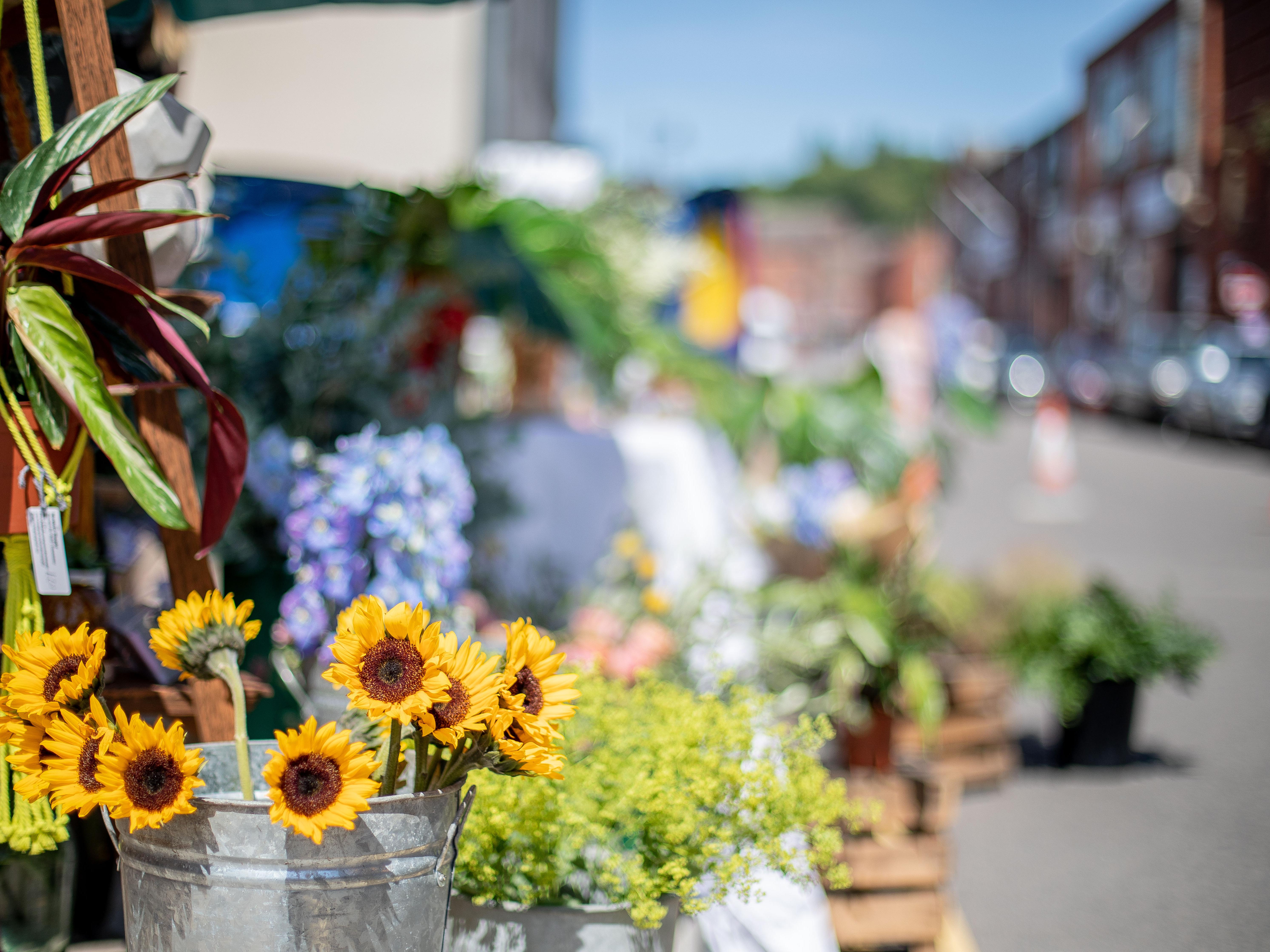Kelham Island Markets