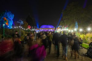 Illuminate the garden